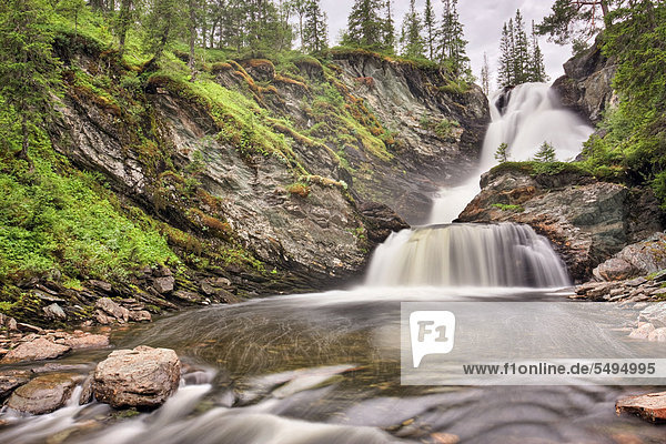 Torsbjørka-Fluss Skarvan og Roltdalen-Nationalpark Nord-Trøndelag Norwegen Skandinavien Europa