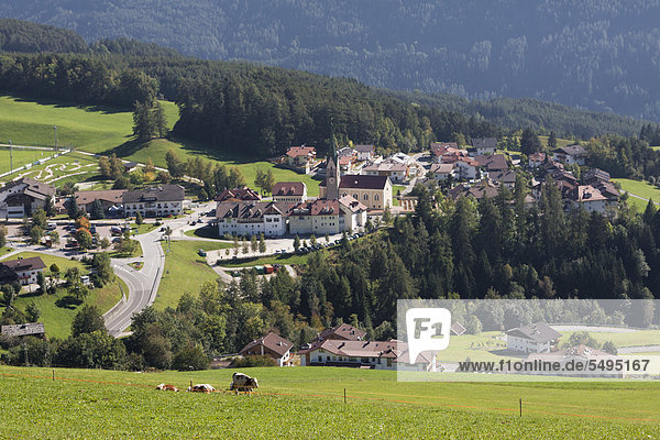Trentino Südtirol Europa Italien