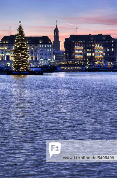 Binnenalster or Inner Alster Lake at Christmas time with Alster fir tree and Church of St. Michael  Michaeliskirche  Michel  Hamburg  Germany  Europe