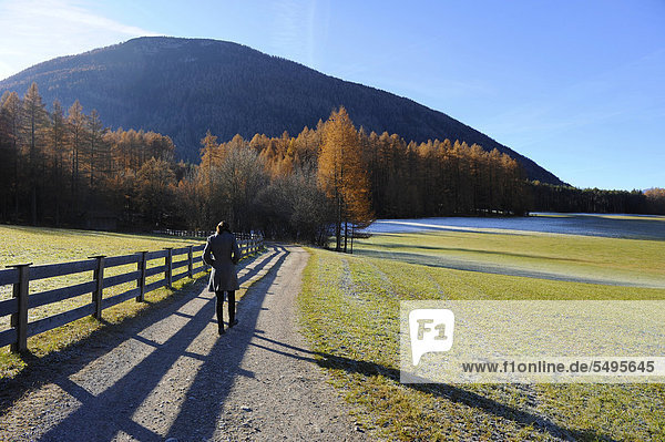 Einsamer Spaziergang einer Frau in Herbstlandschaft am Mieminger Plateau  Tirol  Österreich  Europa