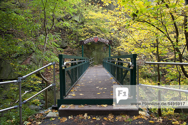 Teufelsbrücke am Goetheweg, Naturschutzgebiet Bodetal, Thale, Harz