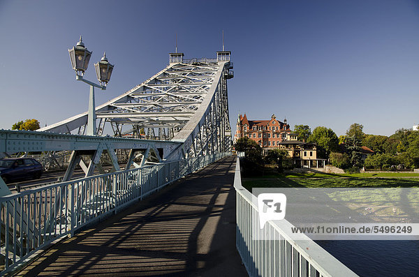 Historische Loschwitzer Brücke  auch Blaues Wunder  über den Fluss Elbe  Blasewitz  Dresden  Sachsen  Deutschland  Europa