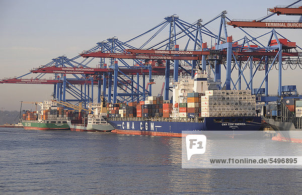 Containerschiffe im Hamburger Hafen  Hamburg  Deutschland  Europa