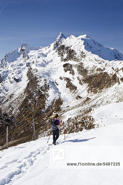 Wanderer beim Aufstieg zum Penser Weißhorn  auch Sarner Weißhorn  Sarntaler Weißhorn  oder Corno Bianco  hinten dessen Gipfel  oberhalb vom Penser Joch  Sarntal  Südtirol  Italien  Europa