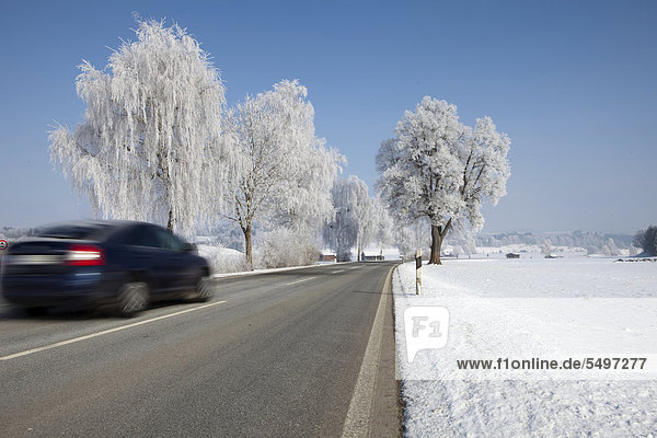 Landstraße bei Murnau im Winter  Bayern  Deutschland  Europa