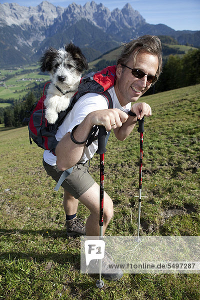Rambler carrying his dog  that is too small to walk long distances  in his backpack  during ascent to Mt Buchensteinwand  St. Jakob  Tyrol  Austria  Europe