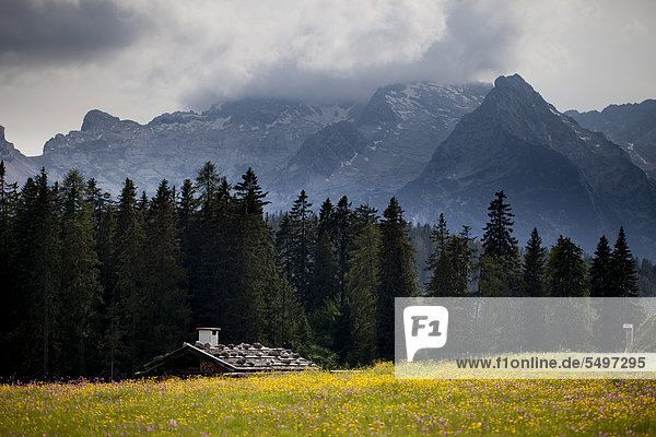 Eine Almhütte auf der Kallbrunnalm im Salzburger Land  hinten die Leoganger Steinberge  Österreich  Europa