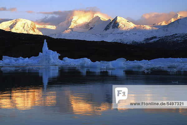 Lago Argentino with icebergs  at sunrise near the Perito Moreno glacier  High Andes  near El Calafate  Patagonia  Argentina  South America