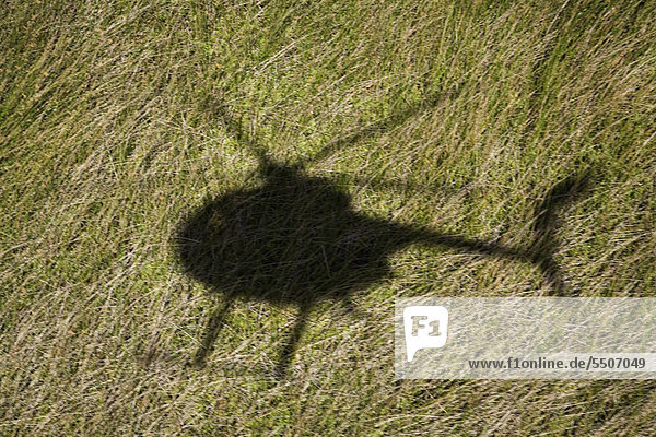 Hubschrauber Schatten über grüne Gras Feld in Maui Hawaii.