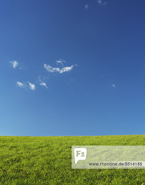 Grüne Wiesenlandschaft unter klarem blauen Himmel