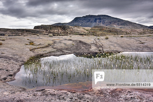 Lagune mit dem Gipfel des Sn¯toppen  Snotoppen  Rago-Nationalpark  Nordland  Norwegen  Skandinavien  Europa