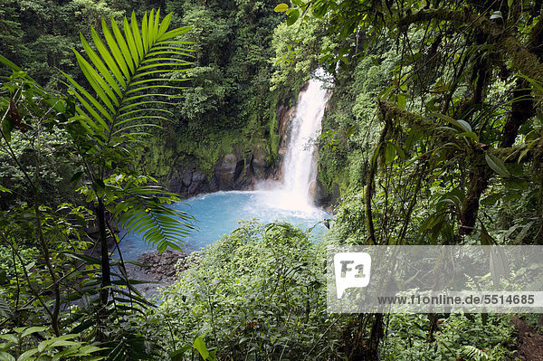 Wasserfall am Rio Celeste  Tenorio-Nationalpark  Guanacaste  Costa Rica  Zentralamerika