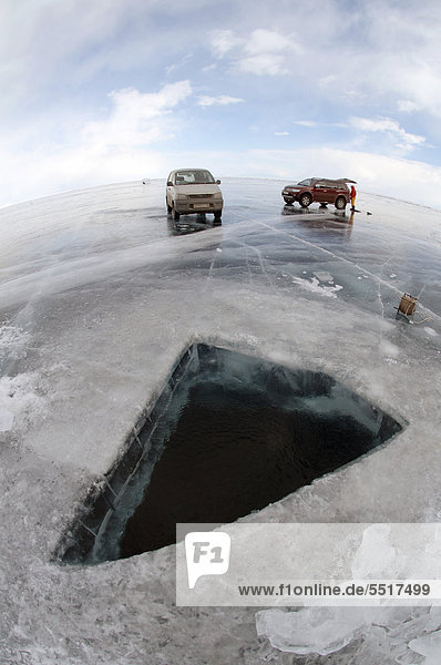 Autos auf dem zugefrorenen Baikalsee  Insel Olchon  Baikalsee  Sibirien  Russland  Eurasien