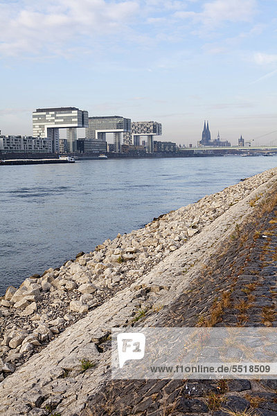 Blick auf den Rhein bei Niedrigwasser  Köln  Nordrhein-Westfalen  Deutschland  Europa  ÖffentlicherGrund