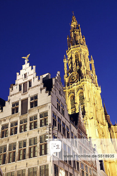 Gildehaus  Giebelhaus  kunstvolle Fassade  mit goldener Figur auf dem Spitzgiebel  Grote Markt  in der Altstadt von Antwerpen  Flandern  Belgien  Europa