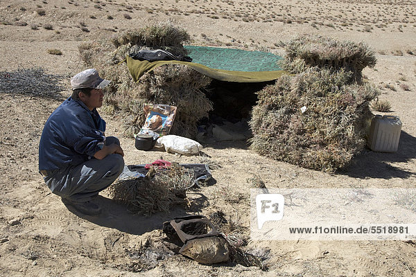 Feldarbeiter sticht Teleskin-Büsche  die als Heizmaterial verwendet werden  vor seinem Unterschlupf  Pamir  Tadschikistan  Zentralasien  Asien