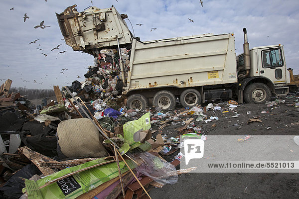 'A truck dumps garbage at St. Clair County's Smith's Creek Landfill