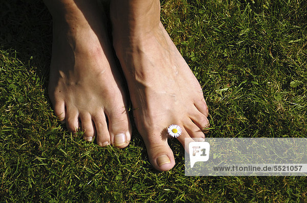 Woman's naked feet on a summer meadow with a daisy