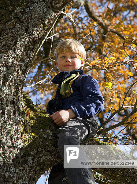 Junge - Person  Baum  spielen