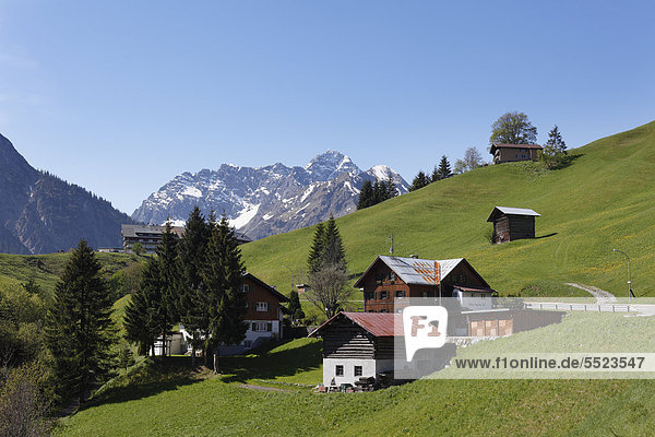 View from Hirschegg on Mt. Grosser Widderstein  Kleinwalsertal valley  Vorarlberg  Austria  Europe