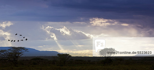 Blick über den Samburu Nationalpark in der Dämmerung  Samburu National Reserve  Kenia  Ostafrika  Afrika  ÖffentlicherGrund