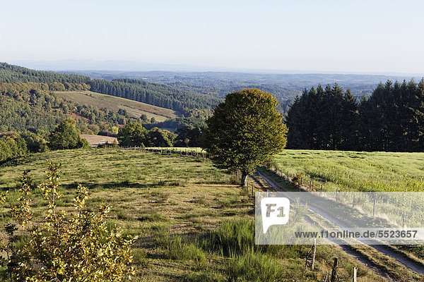 Landschaft im Parc Naturel Regional de Millevaches en Limousin  Regionaler Naturpark Millevaches en Limousin  DÈpartement Correze  Frankreich  Europa