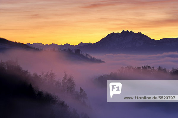 Nebelstimmung im Licht der untergehenden Sonne mit Blick auf den Pilatus  Zug  Schweiz  Europa