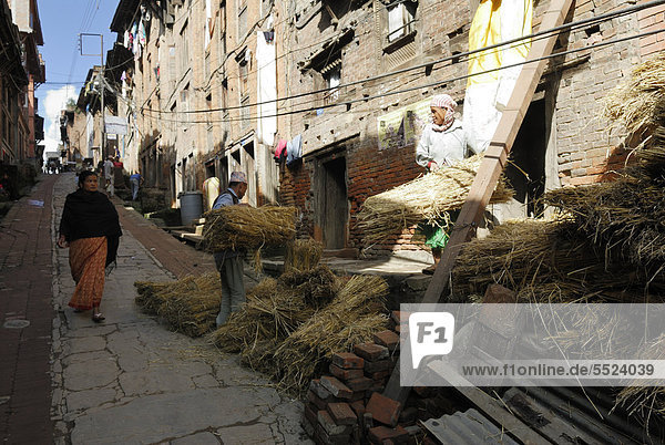 Nepalesen stapeln Strohbündel auf historischer Straße  Bhaktapur  Kathmandu Tal  Nepal  Asien