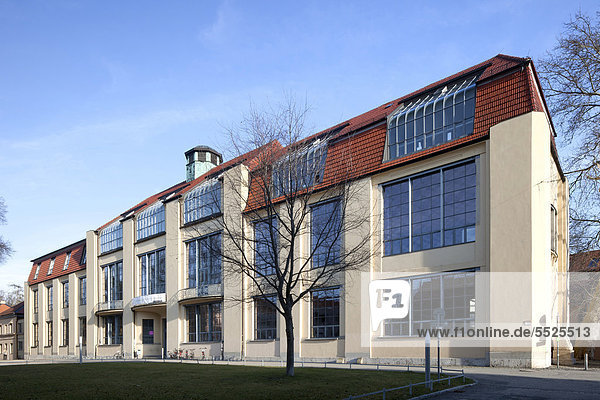 Bauhaus-Universität Weimar  Hauptgebäude  UNESCO Weltkulturerbe  Architekt Henry van de Velde  Weimar  Thüringen  Deutschland  Europa  ÖffentlicherGrund