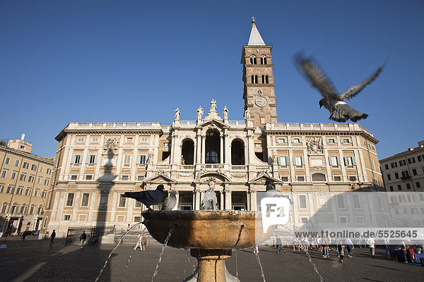 Landeanflug einer Taube auf dem Brunnen gegenüber der Fassade der Santa Maria Maggiore  Rom  Italien  Europa