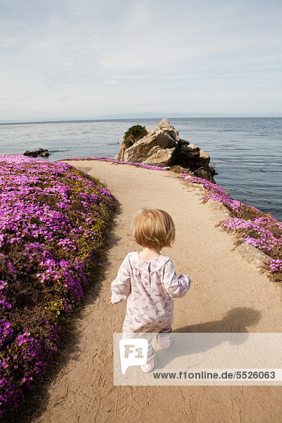 Kleinkind auf dem Weg neben rosa Blüten