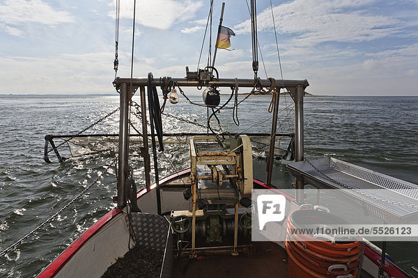 Krabbenfischerboot auf der Nordsee  Sylt  Schleswig-Holstein  Deutschland  Europa