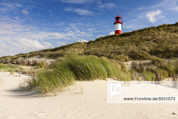 Red and white striped lighthouse of List Ost amidst the sand dunes  seen from the beach  List  Sylt  North Frisia  Schleswig-Holstein  Germany  Europe