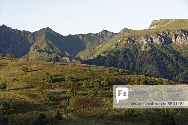 Monts Dore-Massiv  Parc Naturel RÈgional des Volcans d'Auvergne  Regionaler Naturpark Volcans d'Auvergne  Puy de Dome  Frankreich  Europa