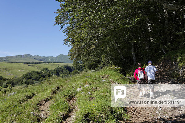 Young hikers in Fontaine Salee reserve  Auvergne Volcanoes Natural Regional Park  massif of Sancy  Puy de Dome  Auvergne  France  Europe