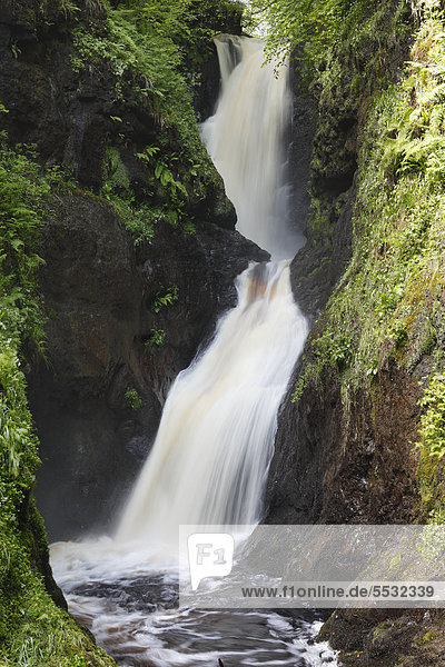 Wasserfall  Glenariff River  Glenariffe Forest Park  Glenariff  Glens of Antrim  County Antrim  Nordirland  Großbritannien  Europa