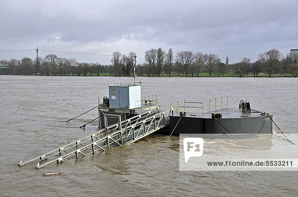 Hochwasser  Rhein  Schiffsanlegestelle  Köln  Nordrhein-Westfalen  Deutschland  Europa  ÖffentlicherGrund