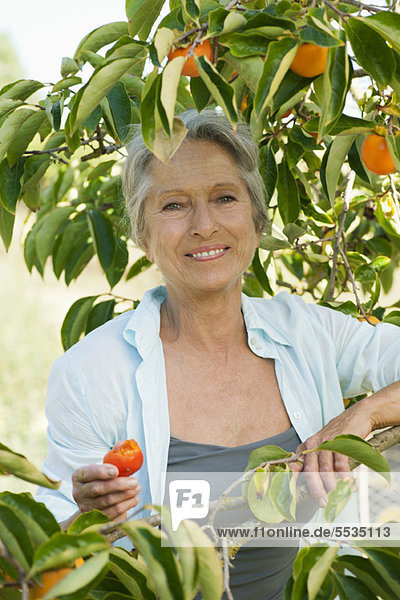 Senior woman smiling under persimmon tree  portrait