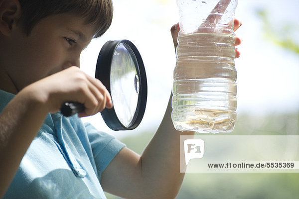 Junge betrachtet Fisch in Wasserflasche mit Lupe