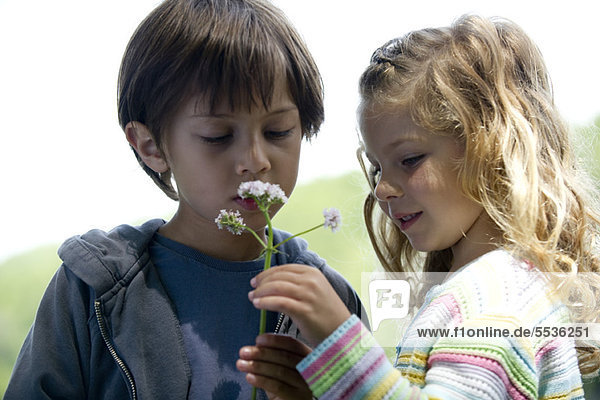 Kinder beim Betrachten von Wildblumen