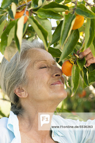 Senior woman smelling orange on tree