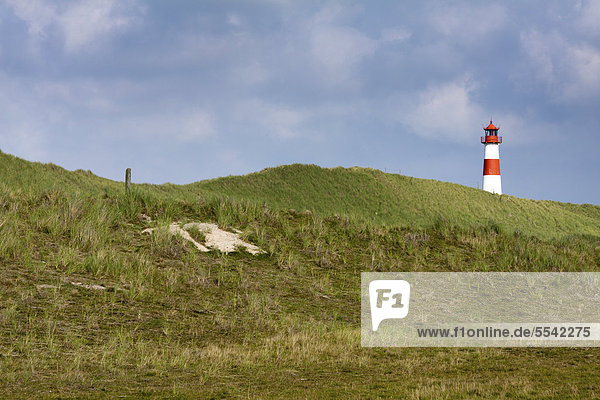 Red and white striped lighthouse of List Ost on the Sylt peninsula of Ellenbogen  List  Sylt  North Frisia  Schleswig-Holstein  Germany  Europe  PublicGround