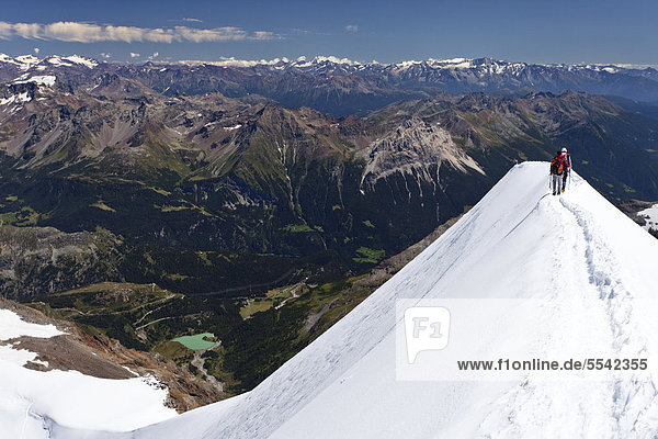 Bergsteiger auf dem Gipfelgrat vom Piz Palü  Graubünden  Schweiz  Europa