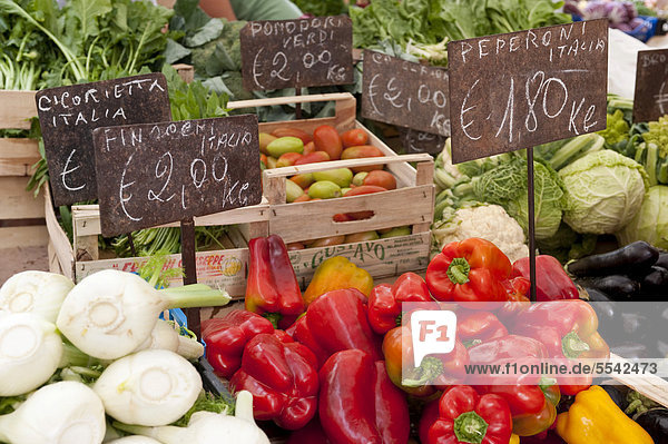 Gemüse zum Verkauf  Markt auf dem Campo de' Fiori  Rom  Italien  Europa