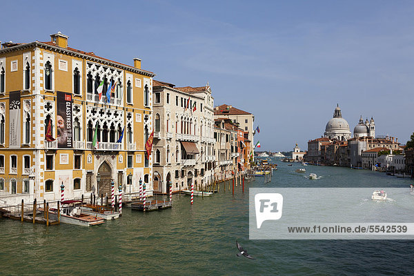 Paläste am Canal Grande  Venedig  Italien  Europa