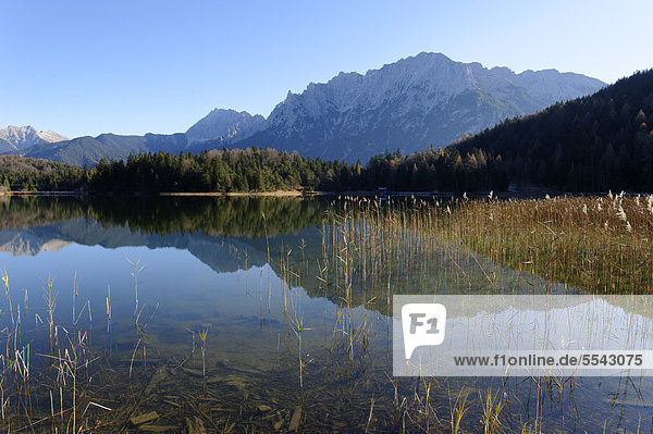 Lautersee bei Mittenwald  mit Karwendelgebirge  Werdenfelser Land  Oberbayern  Bayern  Deutschland  Europa