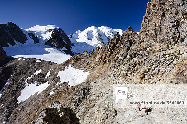 Climbers during the ascent to Piz Palue Mountain  with Piz Palue Mountain at the rear and Piz Cambrena Mountain on the right  Grisons  Switzerland  Europe