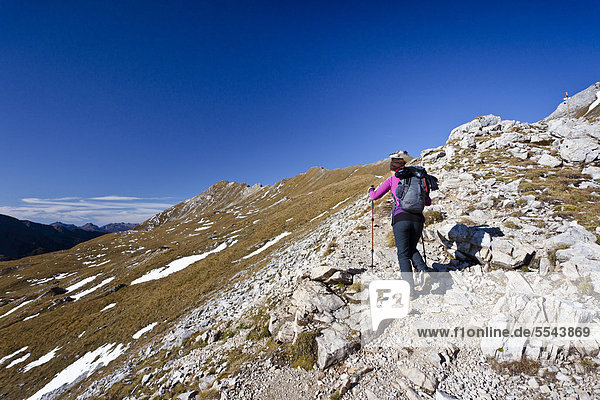 Wanderer beim Aufstieg zum Bepi Zac Klettersteig im San Pellegrino Tal oberhalb vom San Pellegrino Pass  Dolomiten  Trentino  Italien  Europa