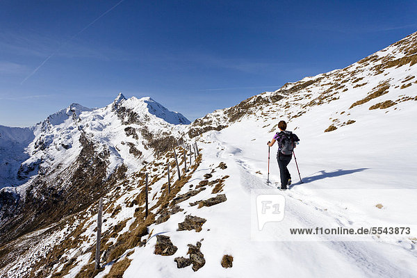 Wanderer beim Aufstieg zum Penser Weißhorn oberhalb vom Penser Joch  hinten der Gipfel vom Penser Weißhorn  Sarntal  Südtirol  Italien  Europa