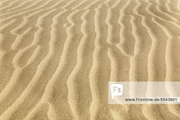 Struktur einer Sanddüne  Lanzarote  Kanarische Inseln  Spanien  Europa